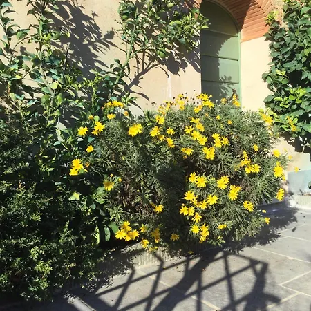 Casa Mita Con Ombrellone A Lido Di Camaiore